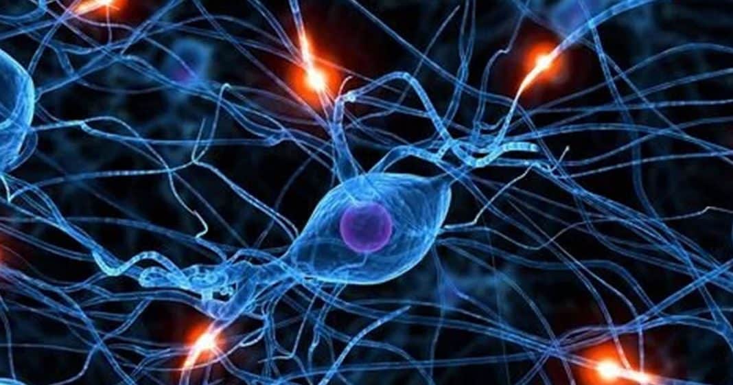 Neurocientista brasiliero identificou “trava neural”, que impede a tomada de decisão em algumas pessoas.