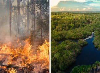 Amazônia sob ameaça: O “pulmão do mundo” tem o ar mais poluído do Brasil