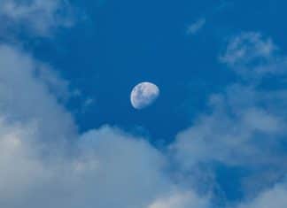 Por que às vezes é possível ver a Lua durante o dia? Entenda esse fenômeno