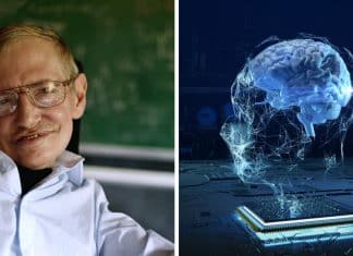 Stephen Hawking previu o fim da humanidade e alertou sobre o uso da IA: “Pior erro de todos”