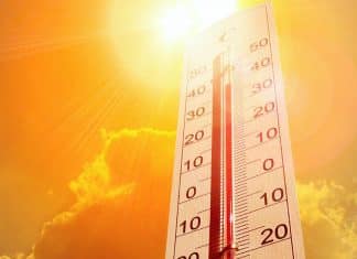Onda de calor: Sensação térmica no Sul e Sudeste pode ultrapassar 50°C; Veja maneiras de se cuidar