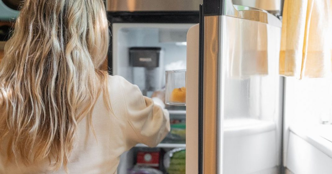 Alerta na cozinha: veja quais alimentos congelados podem ser prejudiciais à saúde