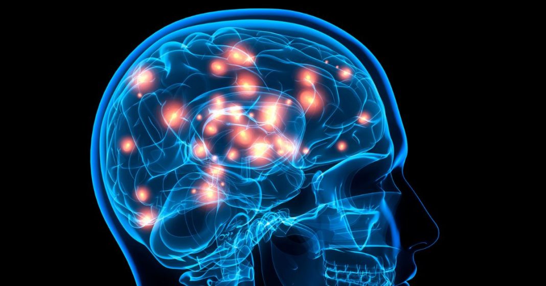 Estudo revela hábito comum e silencioso que pode encolher seu cérebro e aumentar o risco de Alzheimer