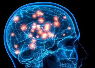 Estudo revela hábito comum e silencioso que pode encolher seu cérebro e aumentar o risco de Alzheimer