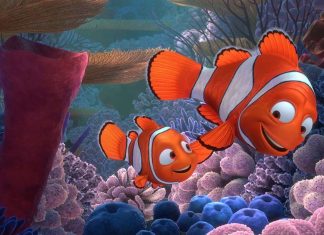 Fãs de Procurando Nemo ficam chocados ao descobrir verdade bizarra sobre peixes-palhaço