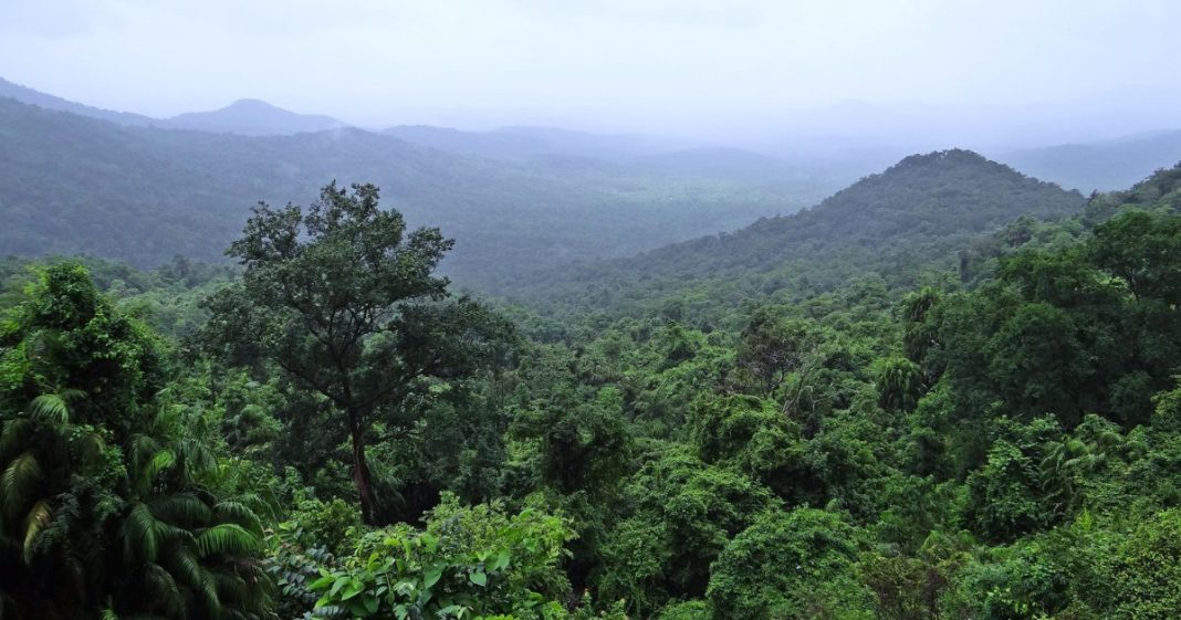 França vai construir prisão de segurança máxima na Amazônia e acende debate global