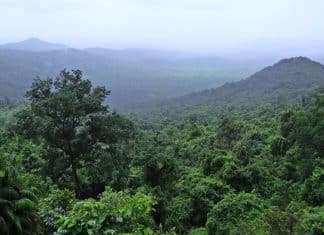 França vai construir prisão de segurança máxima na Amazônia e acende debate global