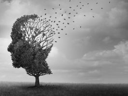 resilienciamag.com -