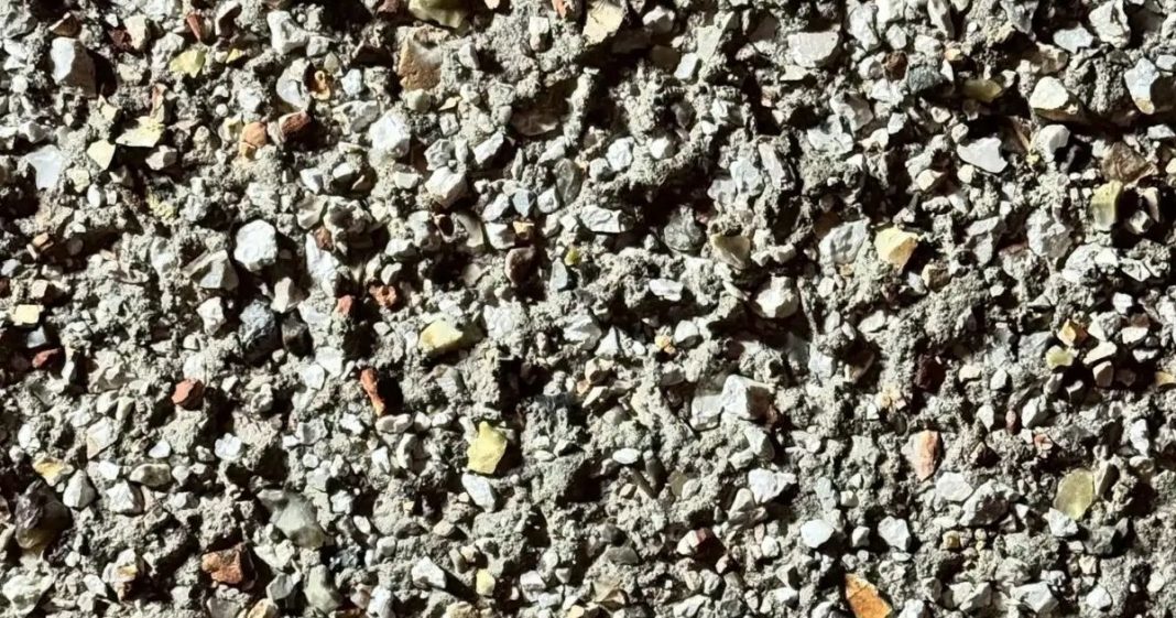 Só 1 em cada 10 pessoas consegue encontrar: Onde está a mariposa camuflada na imagem?