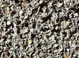 Só 1 em cada 10 pessoas consegue encontrar: Onde está a mariposa camuflada na imagem?
