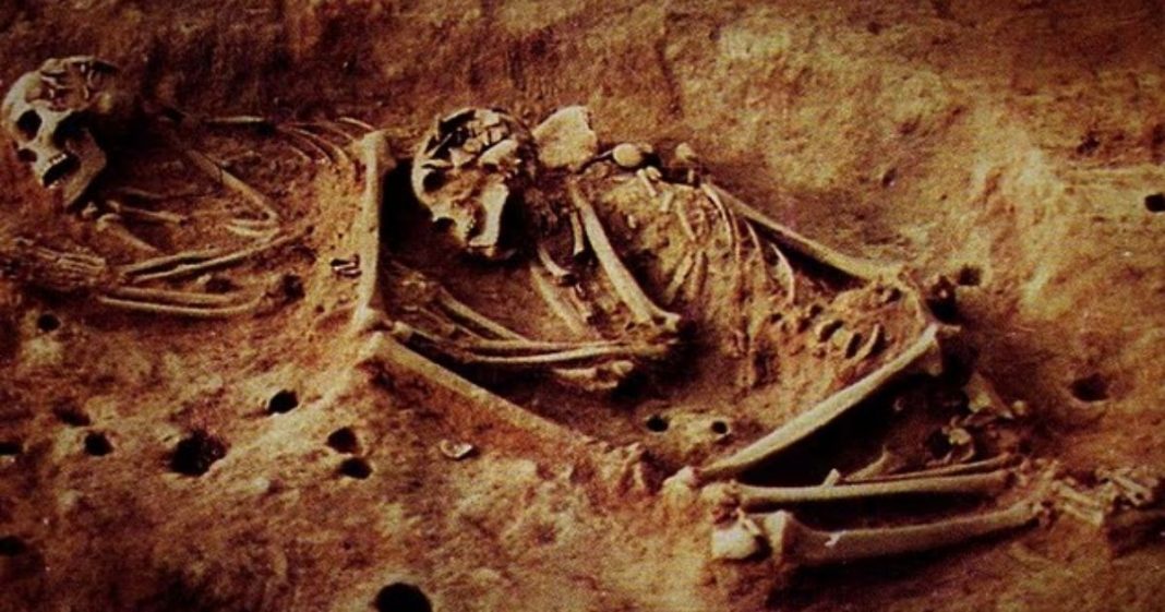 Arqueólogos encontram DNA misterioso em esqueletos de 6.000 anos e podem reescrever a história humana