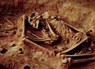 Arqueólogos encontram DNA misterioso em esqueletos de 6.000 anos e podem reescrever a história humana