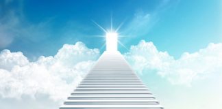 resilienciamag.com -