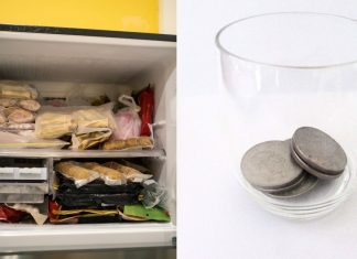 Por que deixar um copo com uma moeda dentro do congelador pode proteger sua saúde?