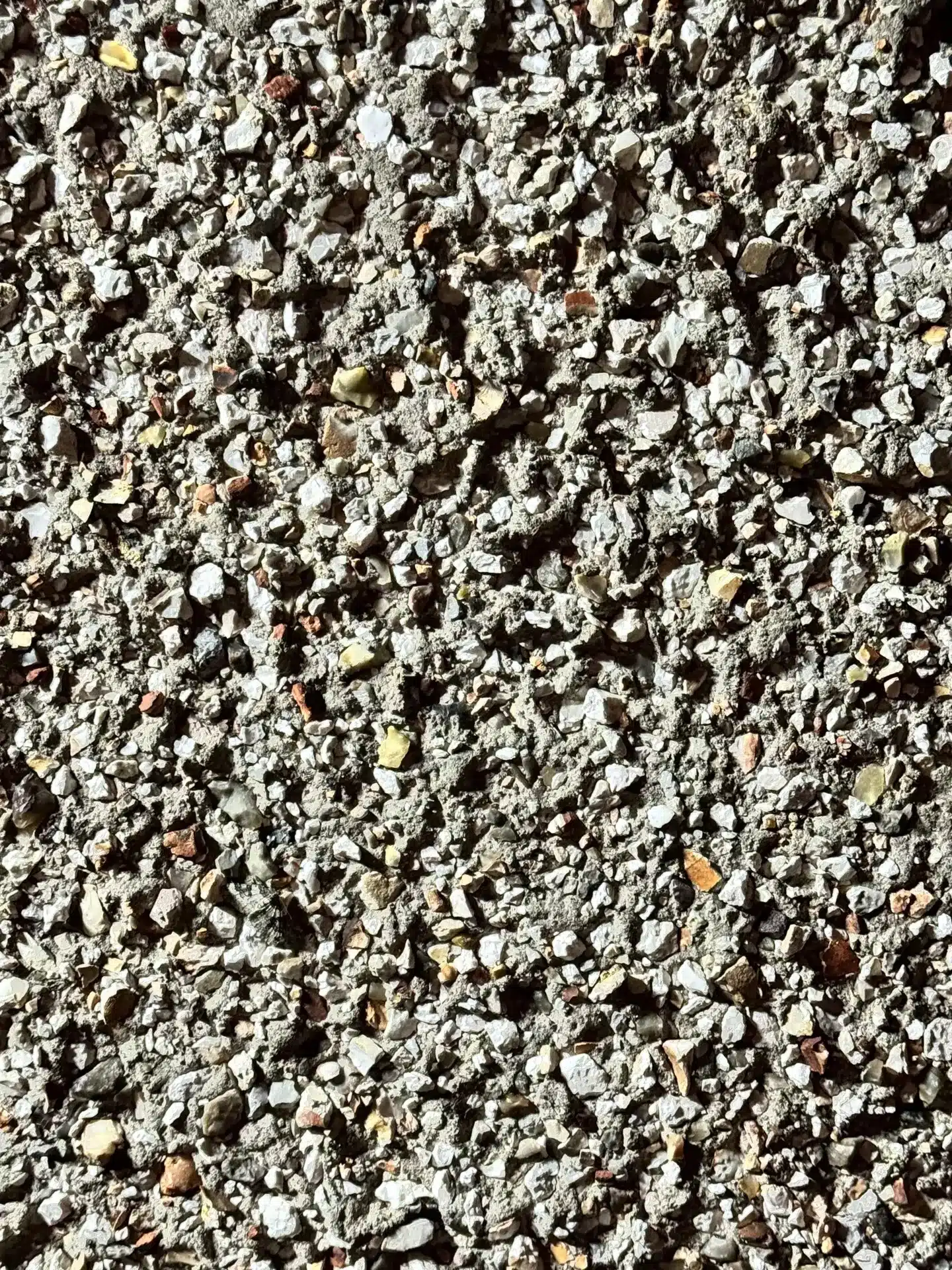 resilienciamag.com - Só 1 em cada 10 pessoas consegue encontrar: Onde está a mariposa camuflada na imagem?