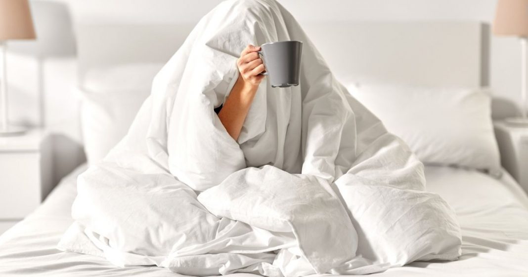 Cobertor ou edredom: qual esquenta mais? Descubra e aprenda o jeito certo de arrumar sua cama para noites bem quentinhas