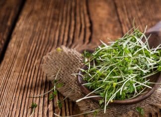 Este é o alimento ‘mais saudável do mundo’ (e pode transformar a sua alimentação)