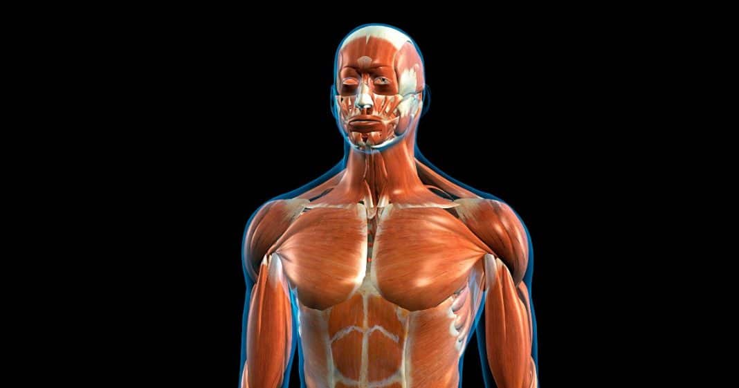 O que acontece com seu corpo quando você para de comer açúcar por 2 semanas