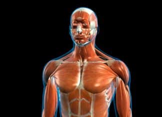 O que acontece com seu corpo quando você para de comer açúcar por 2 semanas