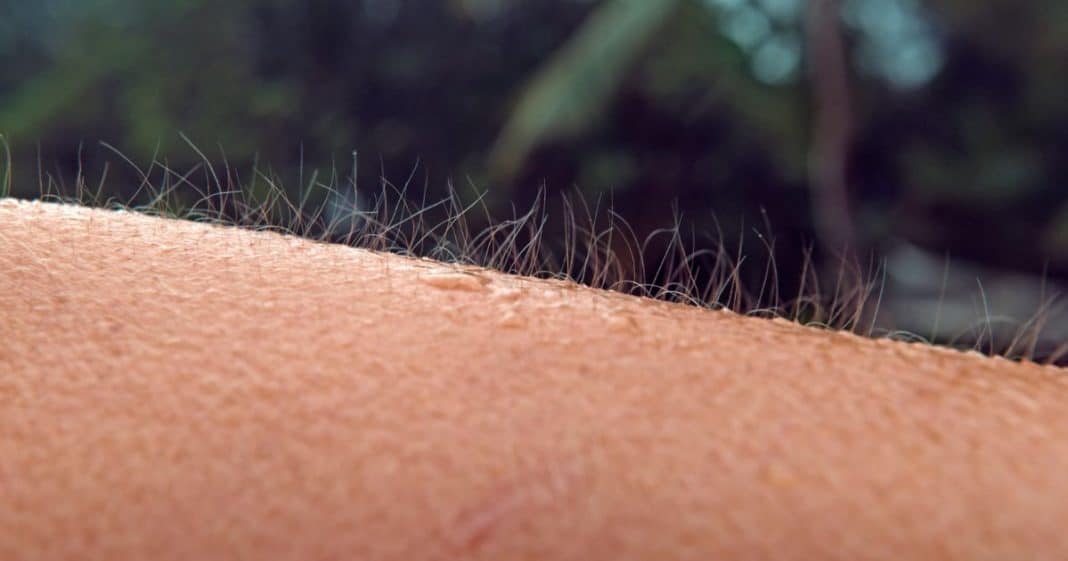 O que significa quando seu corpo arrepia do nada? Descubra as possíveis causas