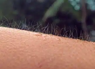 O que significa quando seu corpo arrepia do nada? Descubra as possíveis causas