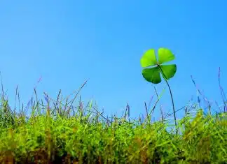 Qual é o signo mais sortudo do zodíaco? Descubra o poder da sorte em cada um