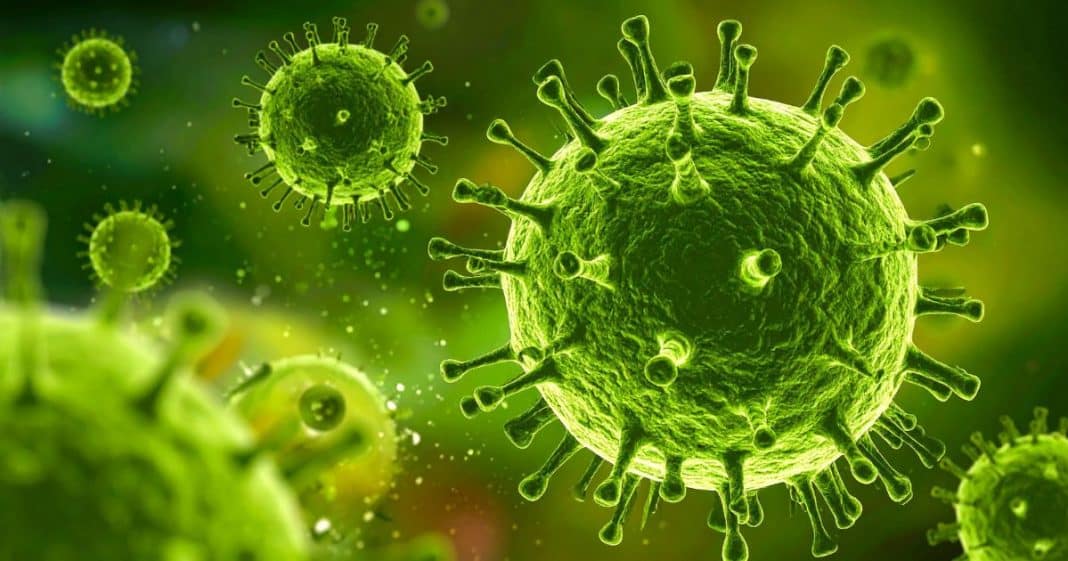 especialista-alerta-a-grande-pandemia-pode-matar-mais-de-7-milhoes-e-colocar-o-mundo-em-colapso Especialista alerta: “A Grande Pandemia” pode matar mais de 7 milhões e colocar o mundo em colapso