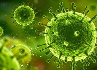 Especialista alerta: “A Grande Pandemia” pode matar mais de 7 milhões e colocar o mundo em colapso