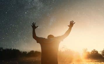 resilienciamag.com -