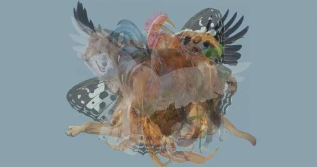 O primeiro animal que você vê revela segredos profundos sobre sua personalidade