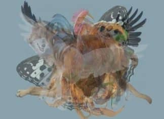 O primeiro animal que você vê revela segredos profundos sobre sua personalidade