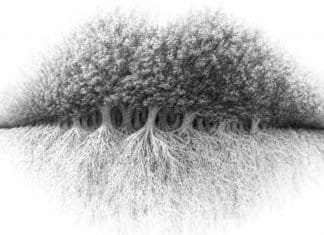 O primeiro detalhe que você nota nesta imagem revela seu jeito de pensar e sentir – faça esse teste!