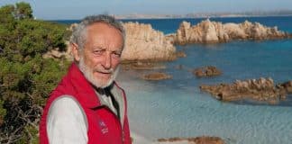 resilienciamag.com -