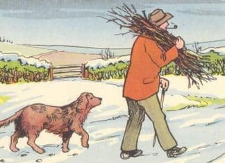 DESAFIO VISUAL: Encontre o erro nesta imagem que passa despercebido por 90% das pessoas – Você consegue identificar?