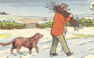 resilienciamag.com -