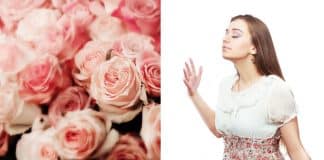 resilienciamag.com - resilienciamag.com -