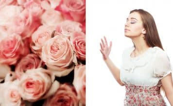 resilienciamag.com -