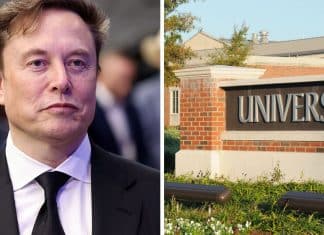 As 3 faculdades que podem desaparecer no futuro, segundo Elon Musk