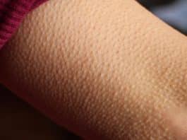 resilienciamag.com - resilienciamag.com -