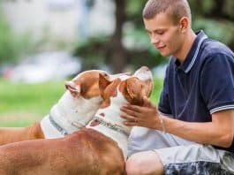 resilienciamag.com -