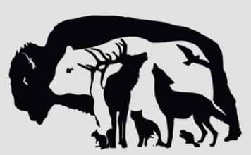 resilienciamag.com -