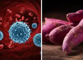 Esses 8 alimentos são capazes de dificultar o avanço do câncer — Descubra como eles fazem isso