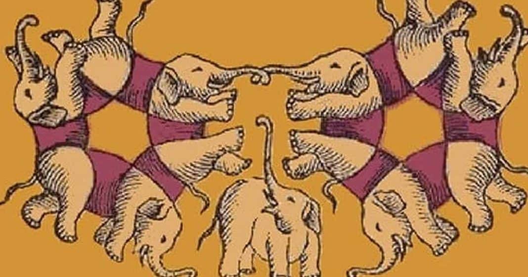Quantos elefantes você vê? Sua resposta revela o quanto você é ganancioso