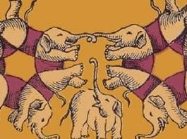 resilienciamag.com -