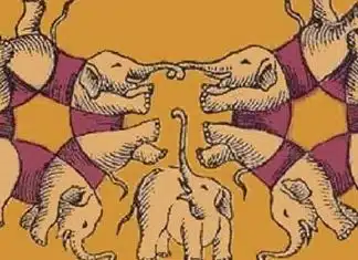 Quantos elefantes você vê? Sua resposta revela o quanto você é ganancioso