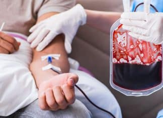 Mudança histórica nas Testemunhas de Jeová sobre sangue gera debate mundial