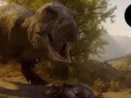 resilienciamag.com -