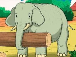 resilienciamag.com -