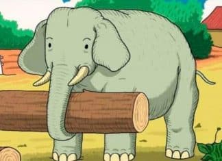 Desafio visual: Você consegue encontrar o animal escondido na imagem? QUASE NINGUÉM DESCOBRIU!!