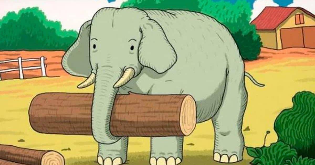 resilienciamag.com - Desafio visual: Voc&ecirc; consegue encontrar o animal escondido na imagem? QUASE NINGU&Eacute;M DESCOBRIU!!